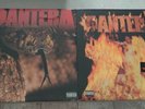 Pantera LPs SEALED Trendkill Reinventing the Steel Original Pressings