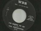ROCKABILLY SURF T.S.  INSTRO bw GARAGE- PERISCOPES - BEAVERSHOT - HEAR 1965 WDR