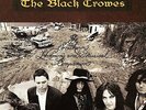 The Black Crowes - The Southern Harmony And Musical Companion [VINYL]