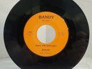 Roger and The Gypsies - Pass the Hatchet/Ernie K-Doe - Mother-In-Law (7