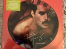 FREDDIE MERCURY - Never Boring LTD EDITION NUMBERED PICTURE DISC VINYL) No 921