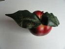 FIONA APPLE Tidal RARE U.S. PROMO DECORATIVE APPLE 1996 SONY