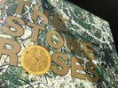 THE STONE ROSES by The Stones Roses. Debut Album Vinyl LP.  Used Near Mint Cond.