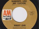 ROBERT JOHN Raindrops, Love And Sunshine RARE northern soul 45 beach LISTEN