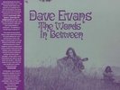 EVANS, Dave - The Words In Between - Vinyl (LP + postcard with obi-strip)