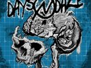 Days N Daze Vinyl Show Me The Blueprints Color FAT WRECK CHORDS
