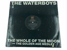 The Waterboys The Whole of the Moon 12