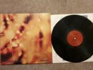 Steamhammer ?– Reflection - Vinyl LP Album Record (NM)