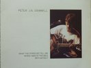 Peter Hammill - What The Stars Did Tell Me... DoLP