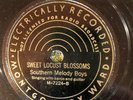 Mont ward 7224 Southern Melody Boys  78 rpm Country  - Charlotte NC, 1937 EE-/E-