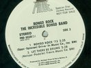 THE INCREDIBLE BONGO BAND 