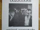 BUZZCOCKS punk 12“ pressing 'Spiral Scratch' Numbered Limited to 5000 Records
