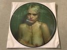 Sky Ferreira Night Time My Time 12'' NEW SEALED RARE Picture Disc RSD 2014