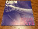 Pantera Vulgar Display Of Power LP Korea