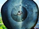 USSR GEORGIAN X-RAY ROENTGEN SKULL  RECORD  UNIQUE ITEM woman poor cond