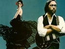 Al Di Meola-Elegant Gypsy (UK IMPORT) Vinyl / 12