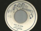 R&B ROCKER bw INSTRO - LITTLE BOOKER - OPEN THE DOOR - HEAR 1958 ACE