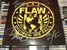 Flaw- Divided We Fall