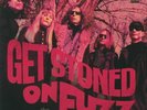 SMOGGERS, The - Get Stoned On Fuzz - Vinyl (LP)