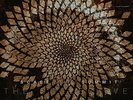 Scale The Summit - The Collective (Silver Series) [VINYL]
