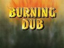 Revolutionaries-Burning Dub (UK IMPORT) VINYL NEW