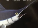 The Old Man & The Sea ?– Second - Vinyl LP SHADOKS158 Danish Prog Monster Sealed