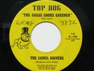 CAMEL DRIVERS Grass Looks Greener 7” 45 1967 Top Dog, Michigan garage psych fuzz