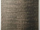 CHEVAL SOMBRE - Mad Love LP - Clear Vinyl Spacemen 3 Sonic Boom Galaxie 500 MGMT