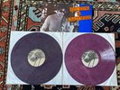 Neil Young Crazy Horse Touch the Night Santa Cruz 84 farbiges Vinyl LP Bootleg