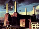 PINK FLOYD ANIMALS NEW SEALED 180G VINYL LP REISSUE IN STOCK