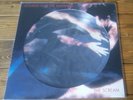 Siouxsie & The Banshees - The Scream Picture Disc LP: 2016 Polydor Records