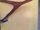 Wishbone Ash 'Wishbone Ash' Vinyl LP Gatefold Decca DL-75249 1970 1st Album