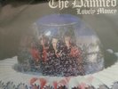 VERY RARE THE DAMNED LOVELY MONEY ITALIAN, DIFFERENT SLEEVE