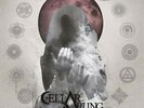 CELLAR DARLING This Is The Sound Double LP Vinyl NEW