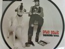 David Bowie   Diamond Dogs   Picture Disc  40th Anniversary edition