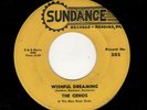READING., PA. DOOWOP-GENOS-WISHFUL DREAMING/SLIM LITTLE ANNIE-SUNDANCE 202