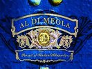 Lp-Al Di Meola-Pursuit Of Radical Rhapsody -Lp (UK IMPORT) VINYL NEW
