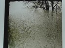 BON IVER - For Emma, forever ago ***Vinyl-LP***NEW***4AD***