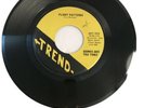 Rare DENNIS AND THE TIMES Flight Patterns GARAGE PSYCH 45 on TREND Tested