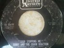 Terry & The Chain Reaction   Keep Your Cool   U.A.   US   Garage    1967