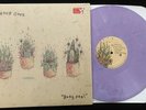 SHOOK ONES - BODY FEEL LP colour vinyl, kid dynamite BRAND NEW, SEALED