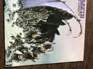 nazareth hair of the dog mooncrest 27 uk  lp orig