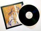 ROBERT FRIPP – Let The Power Fall / LP Vinyl RARE Early Press 1981 EG - EGS 110