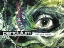 Pendulum - Hold Your Colour (Ltd 180g Vinyl 3LP Edition 2018) Vinyl LP Brea NEU