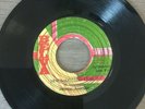 PRINCE HAMMER - Ten Thousand Lions, orig 7” vinyl roots reggae JA 79 Belva Sound