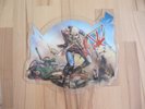 Iron Maiden, Picture Disc, The Trooper, Vinyl