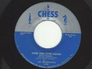 THE MOONGLOWS- 