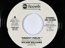 70s Soul 45 - Wilson Williams - Groovy Feelin' - ABC - VG++ mp3 - promo
