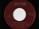 Crossover Soul 45 - Lily Fields & Hoagy Lands - Sweet Soul - Spectrum - VG+ mp3