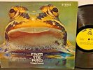 RARE Private FROGGIE BEAVER From The Pond 1973 ORIGINAL Prog Psych LP VG+ Vinyl